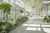 green sustainable hospital